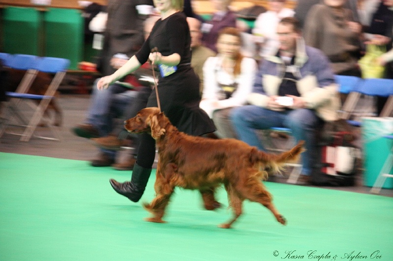 Crufts2011 032.jpg